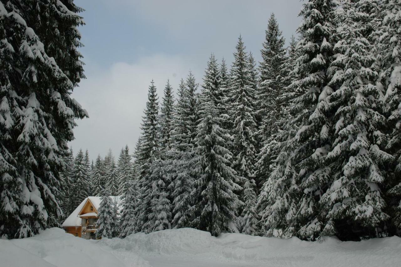 Penzion Sindlovec Oravice Exterior foto